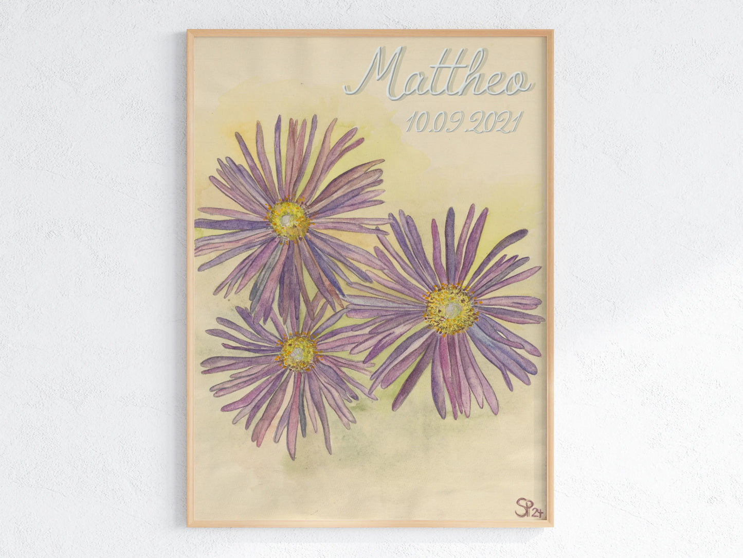 September Geburtsblume Aster