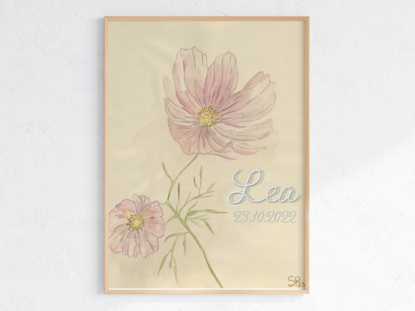 Oktober Geburtsblume Cosmea