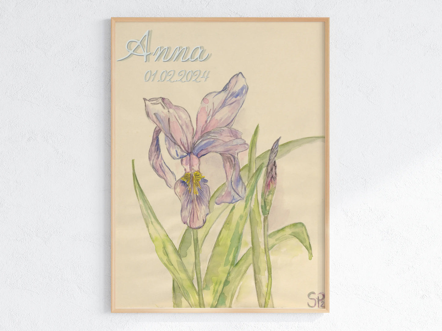 Februar Geburtsblume Iris (Veilchen)