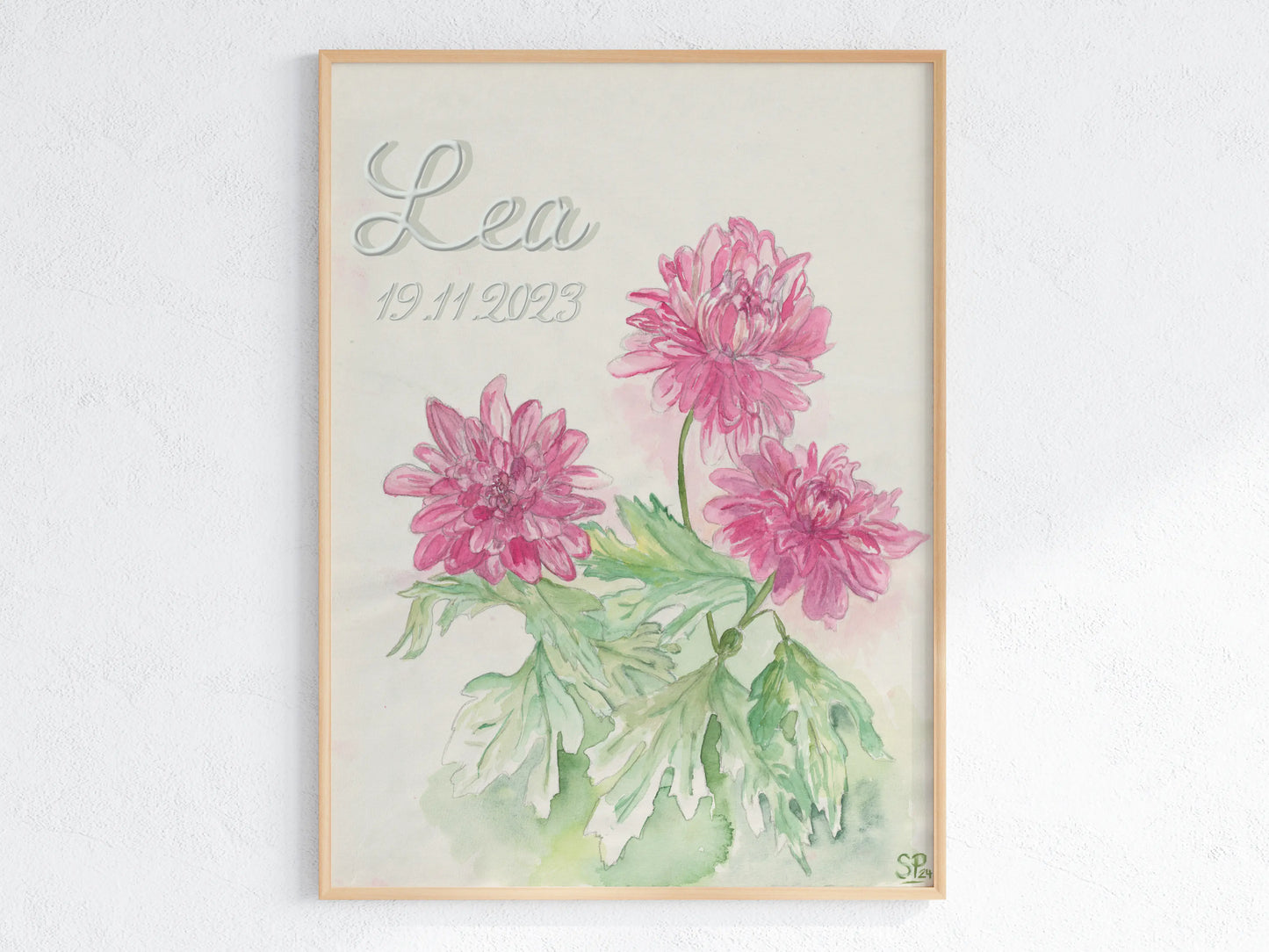 November Geburtsblume Chrysantheme