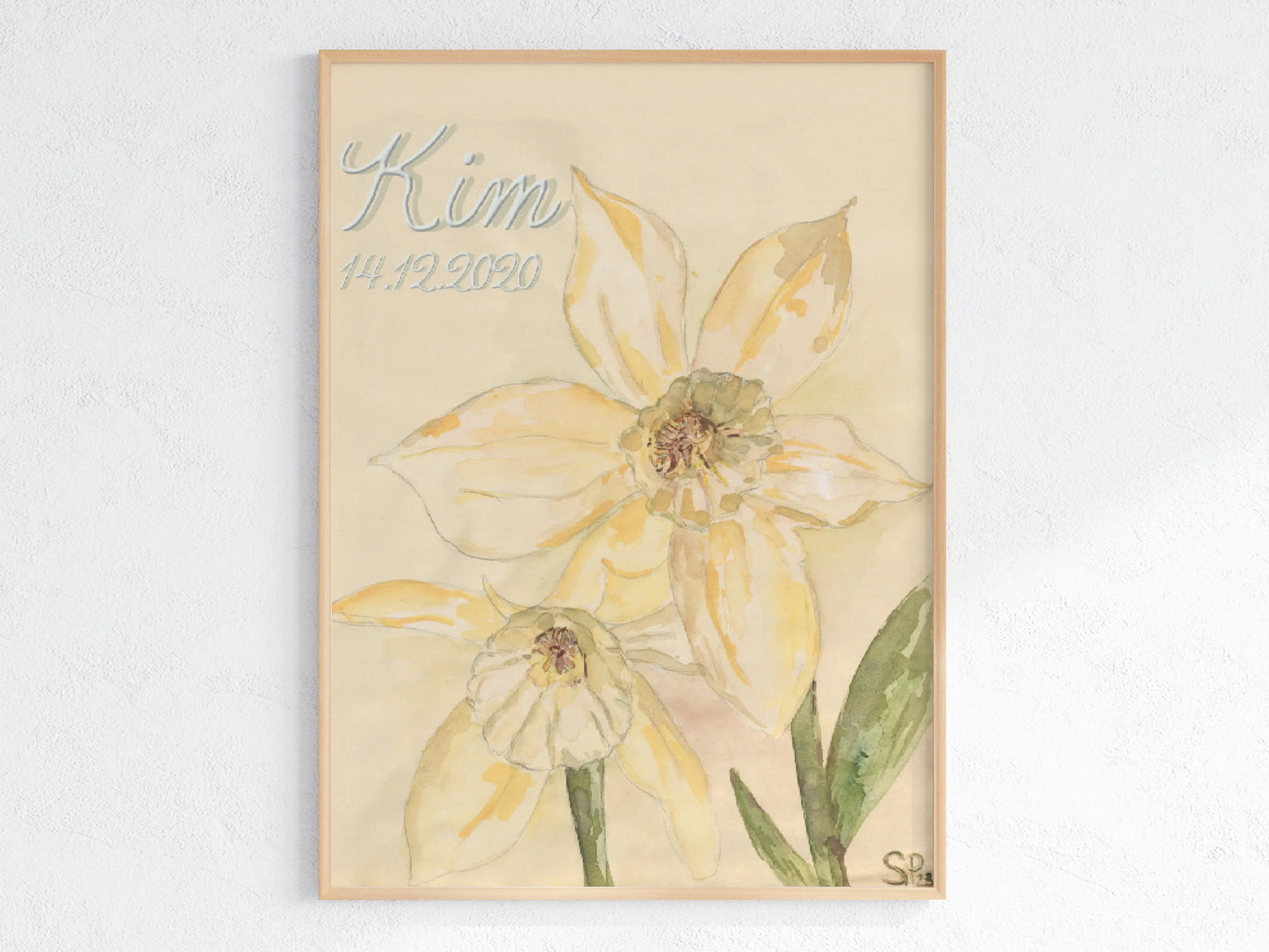 Dezember Geburtsblume weiße Narzisse