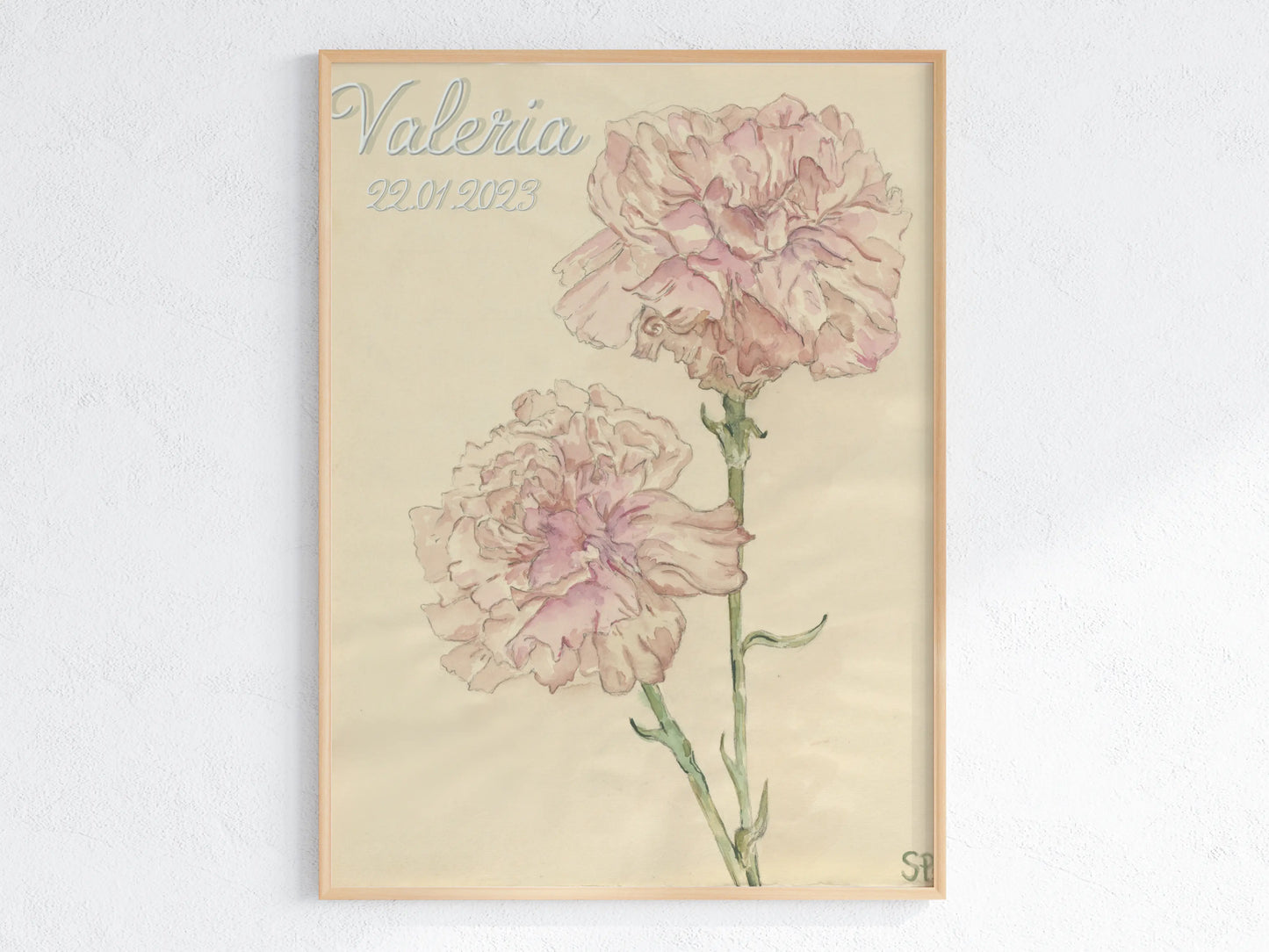 Januar Geburtsblume Nelke