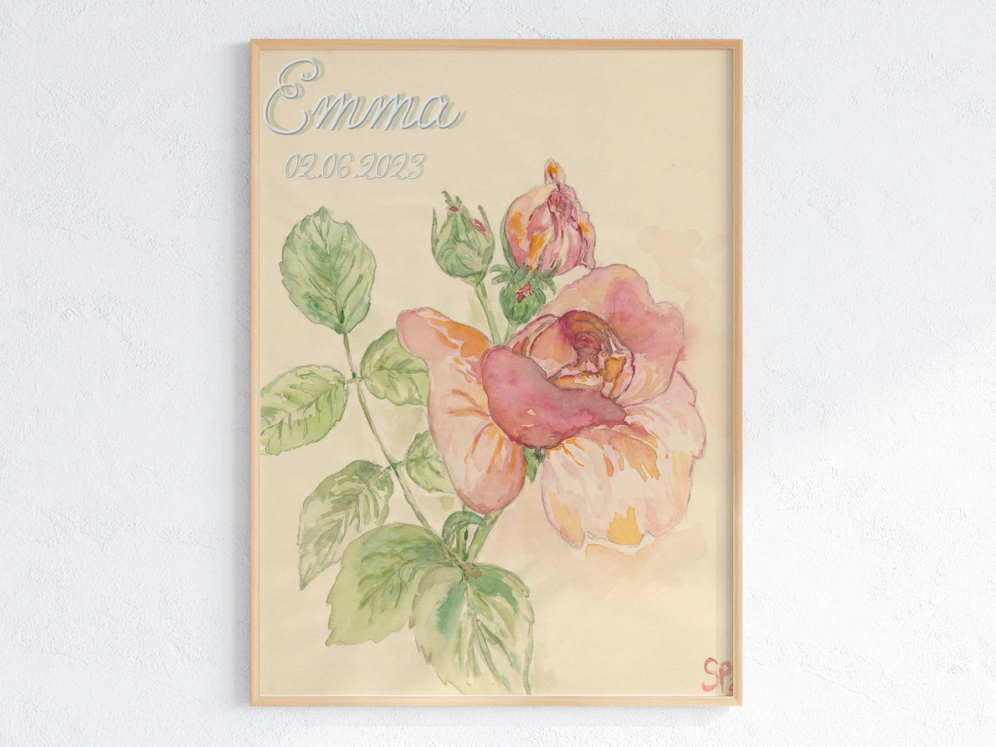 Juni Geburtsblume Rose